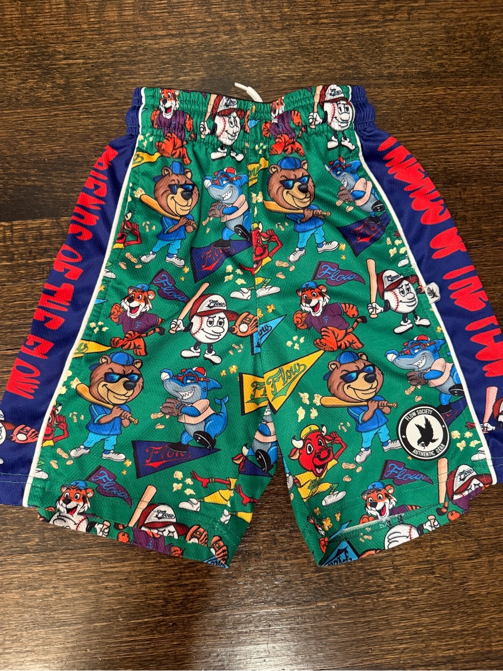 Flow Society “Kings of the Flow” Athletic Shorts, Youth Small, Like New